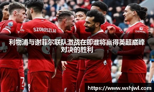 中欧体育网址